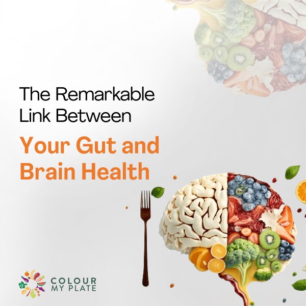 The Remarkable Link Between Your Gut and Brain Health
