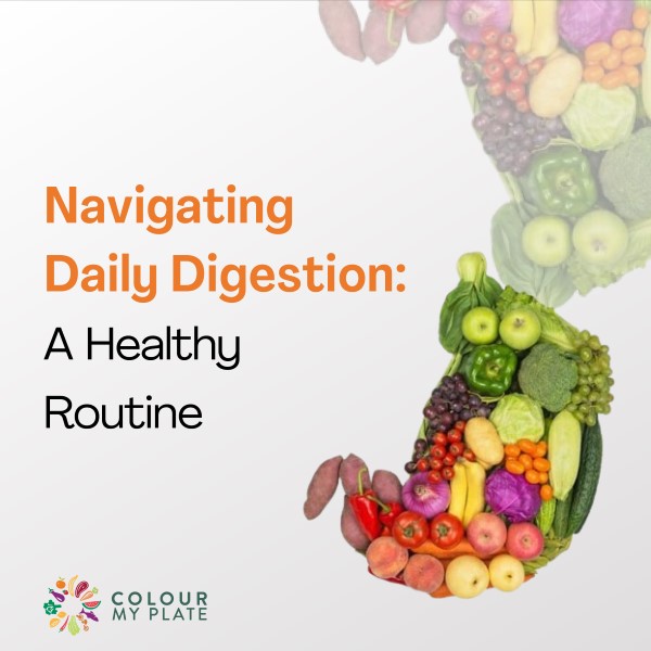 Navigating Daily Digestion: A Healthy Routine